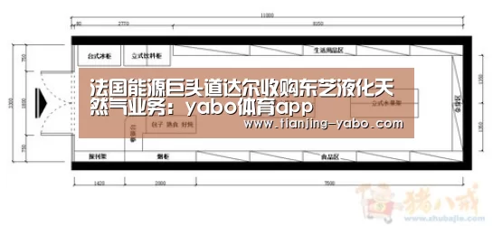 法国能源巨头道达尔收购东芝液化天然气业务:yabo体育app(图2) yabo体育app